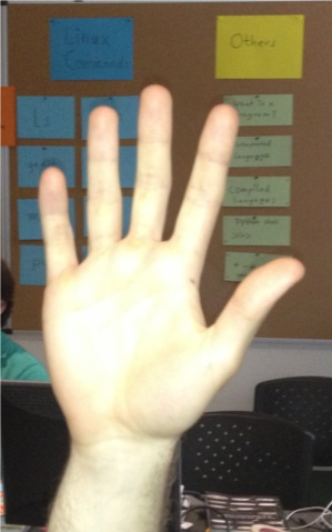 Fist or Five